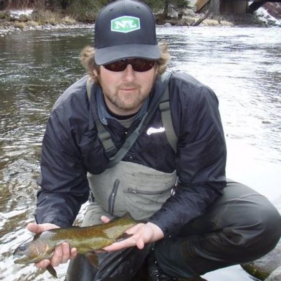 Meet your Posher, James - Picture 1 of 1